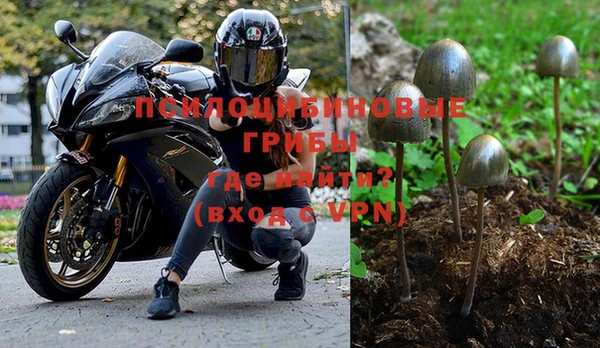 скорость mdpv Вяземский