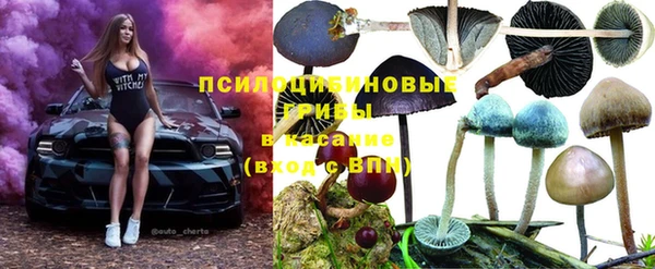стафф Гусев