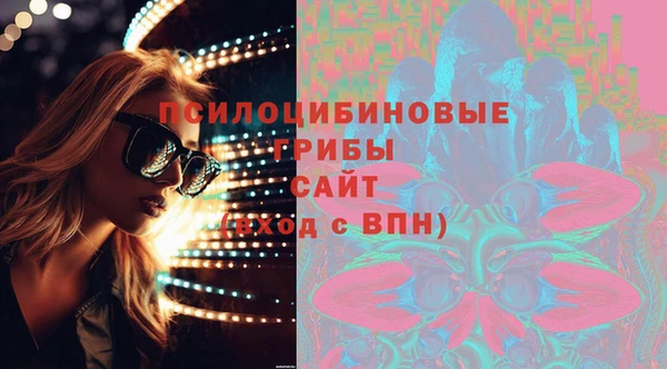 твердый Гусь-Хрустальный