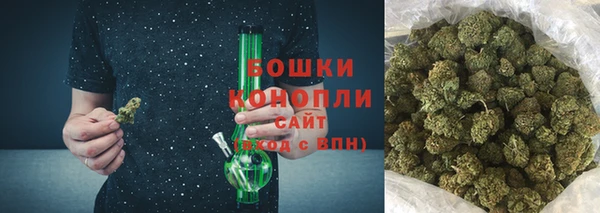 стафф Гусев