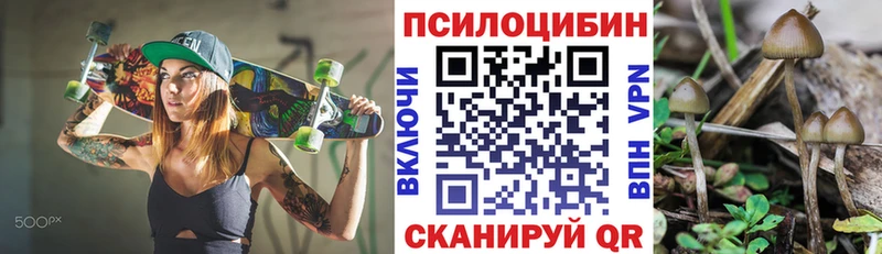 закладка  Дальнегорск  Галлюциногенные грибы Magic Shrooms 